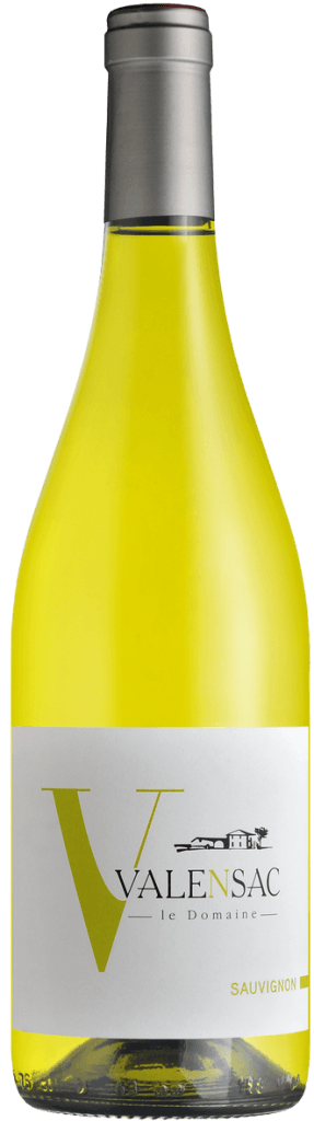 Sauvignon Blanc 2023 Domaine Valensac