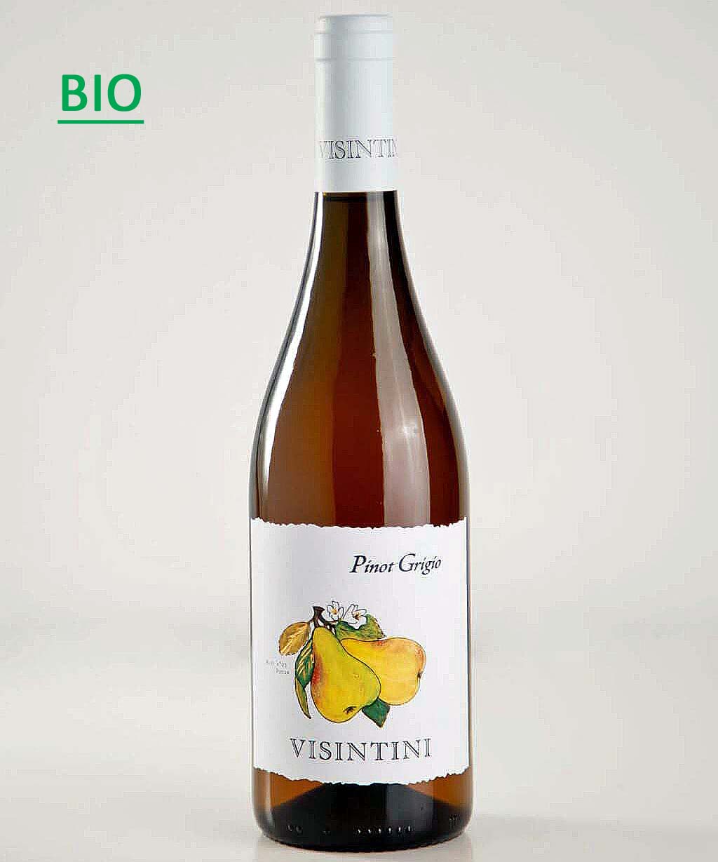 Pinot Grigio DOP Friuli 2023 Visintini -BIO-